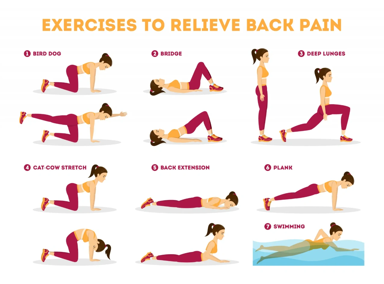 yoga therapy for back pain in coimbatore